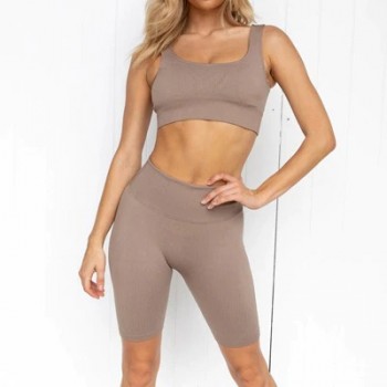 Seamless Yoga Set Workout Clothes For Women Ribbed Gym Set 2 Piece Sport Set Women Sports Bras Yoga Shorts